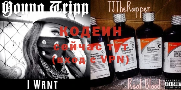 прущая мука Корсаков