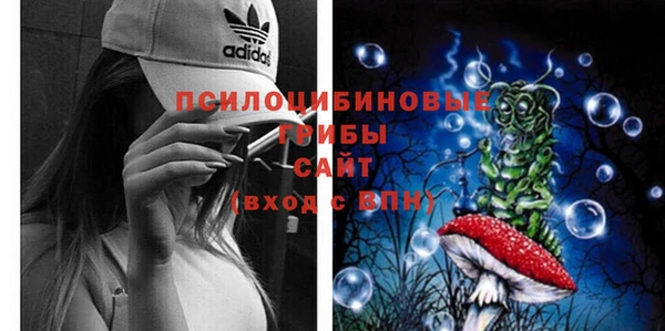 МДПВ Костерёво