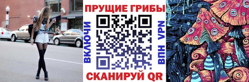 Купить закладки  Сковородино  Галлюциногенные грибы GOLDEN TEACHER 
